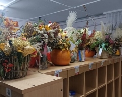 5489bcf7-6e13-4e8d-903e-6b02ace7a05e