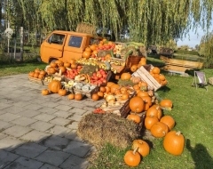 8e9f7f1b-e5e1-43d9-8e80-4439e66d2110